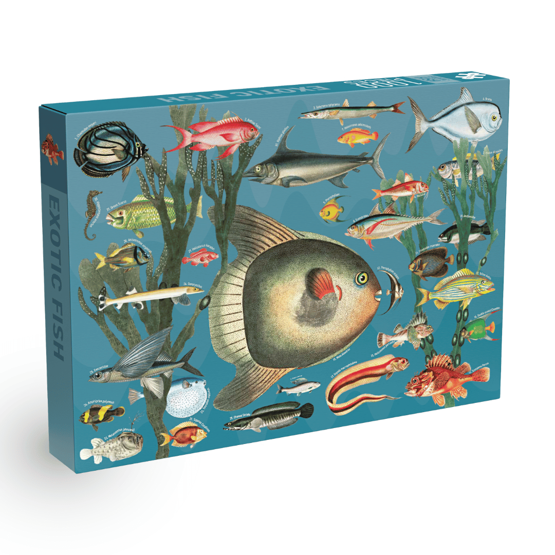Penny Puzzle - Exotic Fish - 1000 bitar