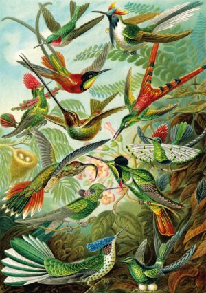 KS Games – Hummingbirds – 1500 bitar