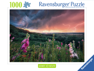 Ravensburger – Dreamy Thunder – 1000 bitar